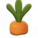 carrot
